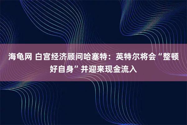 海龟网 白宫经济顾问哈塞特：英特尔将会“整顿好自身”并迎来现金流入