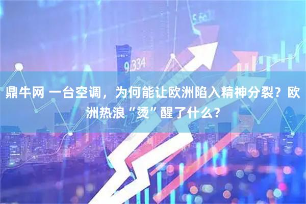 鼎牛网 一台空调，为何能让欧洲陷入精神分裂？欧洲热浪“烫”醒了什么？